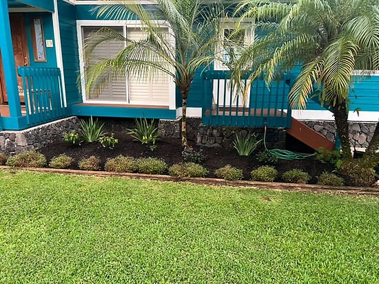 Growing Pains - Landscaping 2