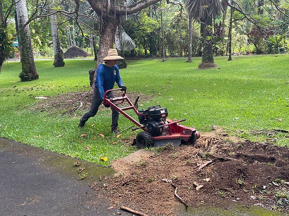 Stump Grinding