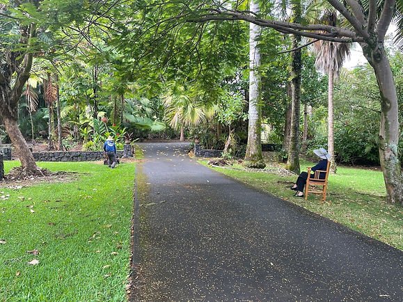 Mom watching Allan grind a stump