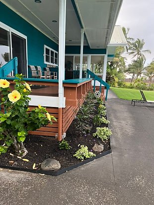 Growing Pains - Landscaping