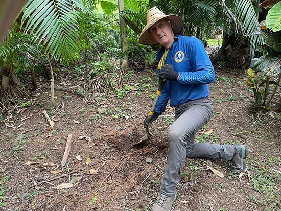 Allan planting turmeric